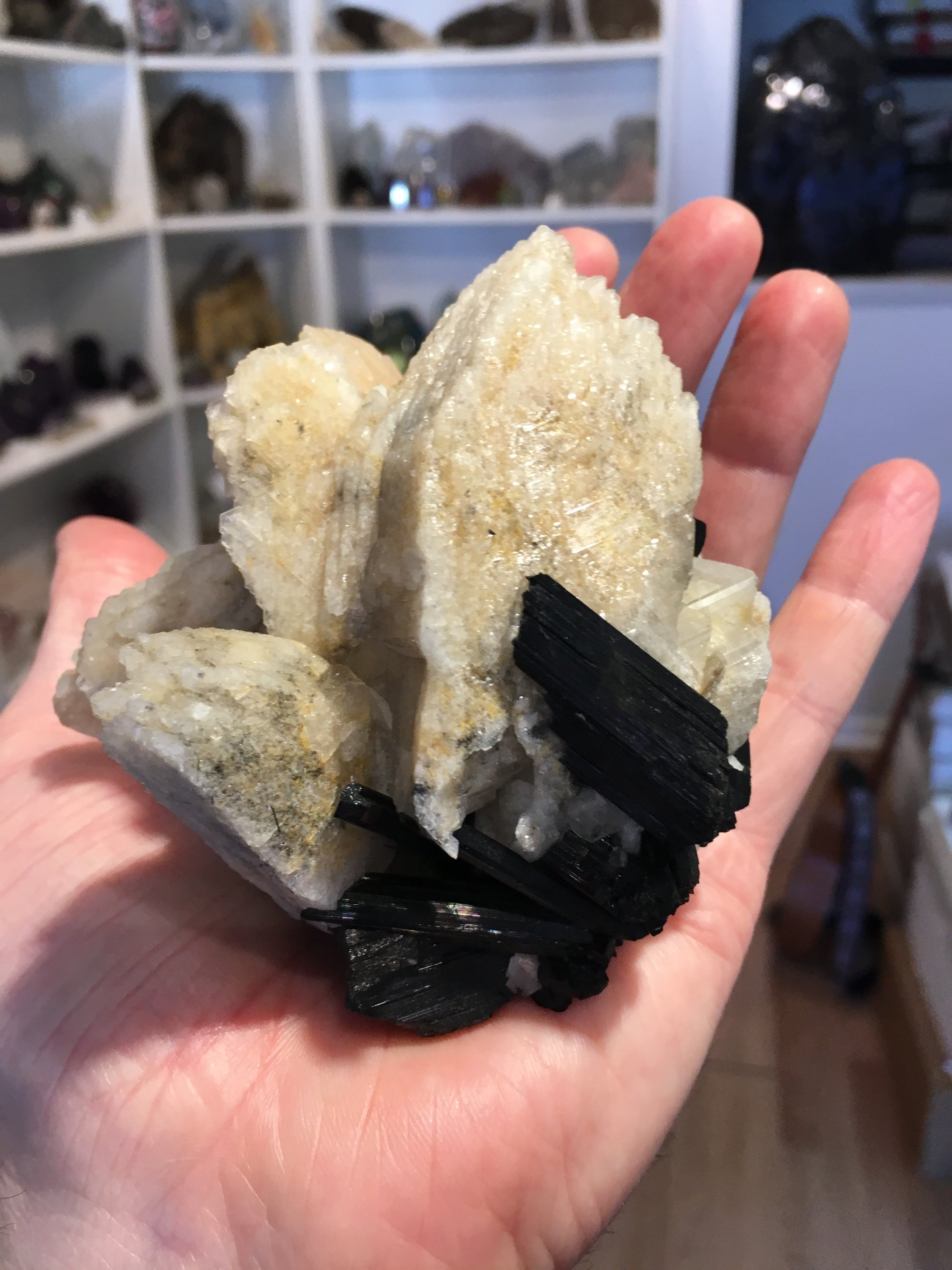 Black Tourmaline w/ Cleavelandite, Brasil