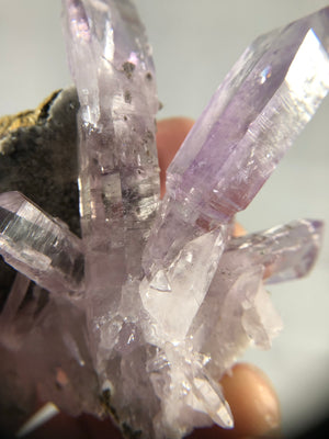 Vera Cruz Amethyst