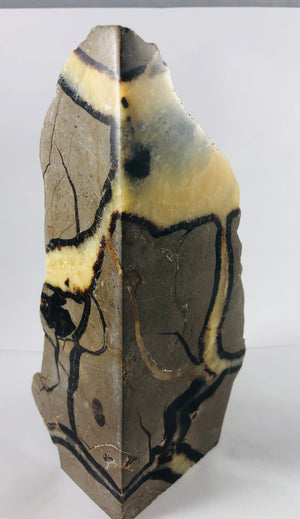 Septarian Bookends