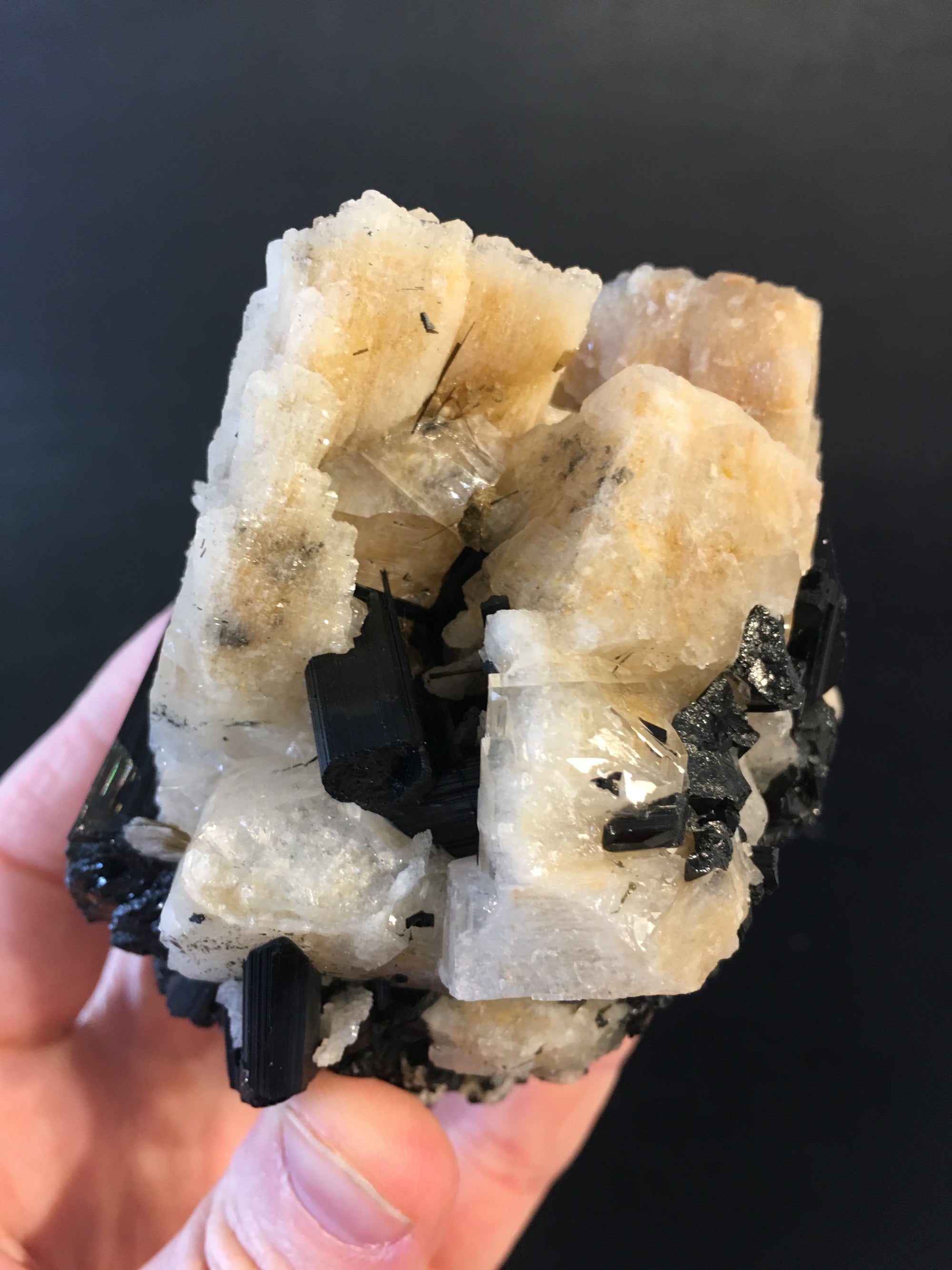 Black Tourmaline w/ Cleavelandite, Brasil