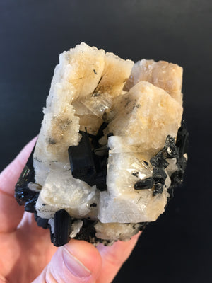 Black Tourmaline w/ Cleavelandite, Brasil