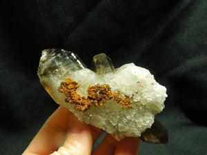 Smoky Quartz Cluster