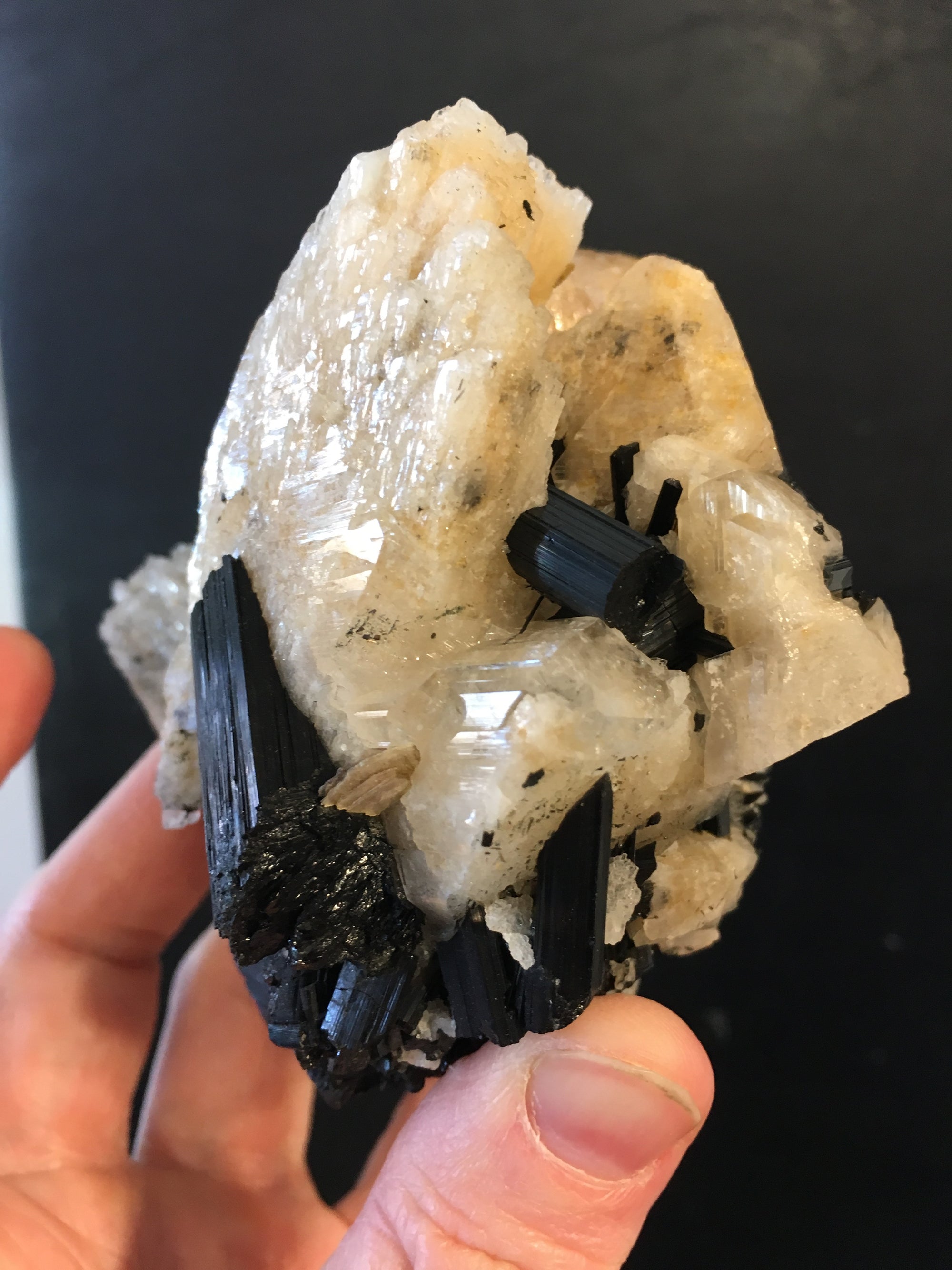 Black Tourmaline w/ Cleavelandite, Brasil