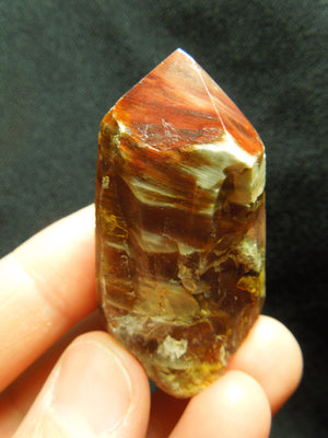 Amphibole Quartz