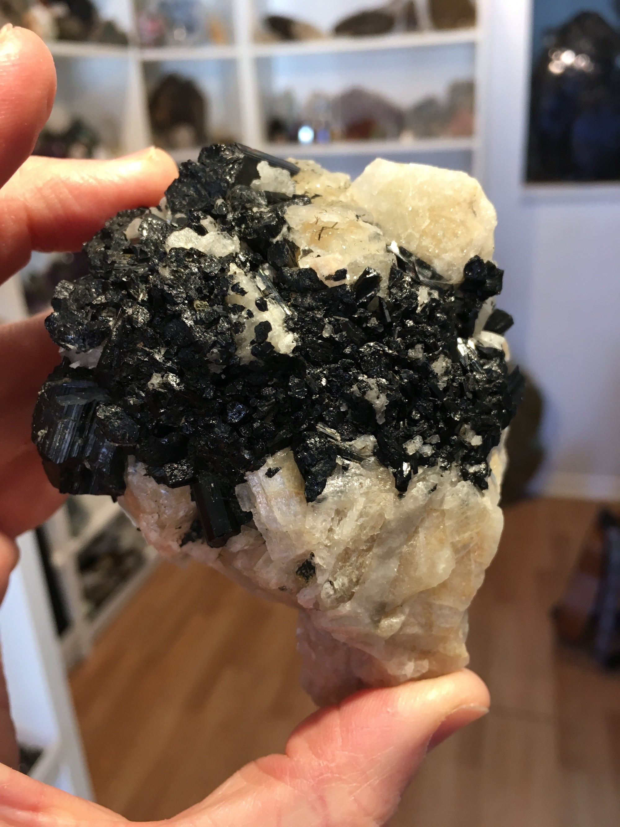 Black Tourmaline w/ Cleavelandite, Brasil