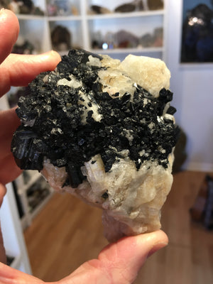 Black Tourmaline w/ Cleavelandite, Brasil