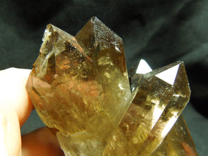 Smoky Quartz Cluster