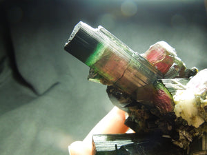 Watermelon Tourmaline w/ Quartz & Cleavelandite