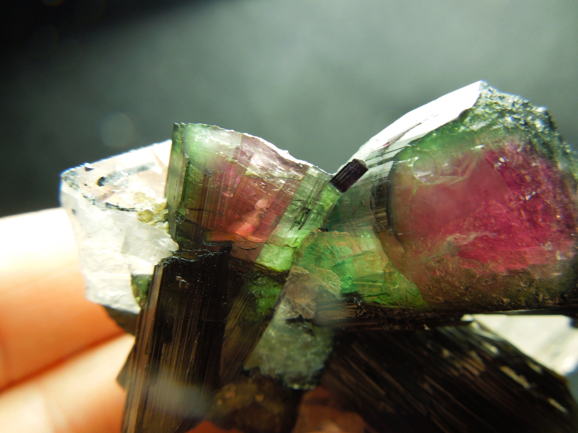 Watermelon Tourmaline w/ Quartz