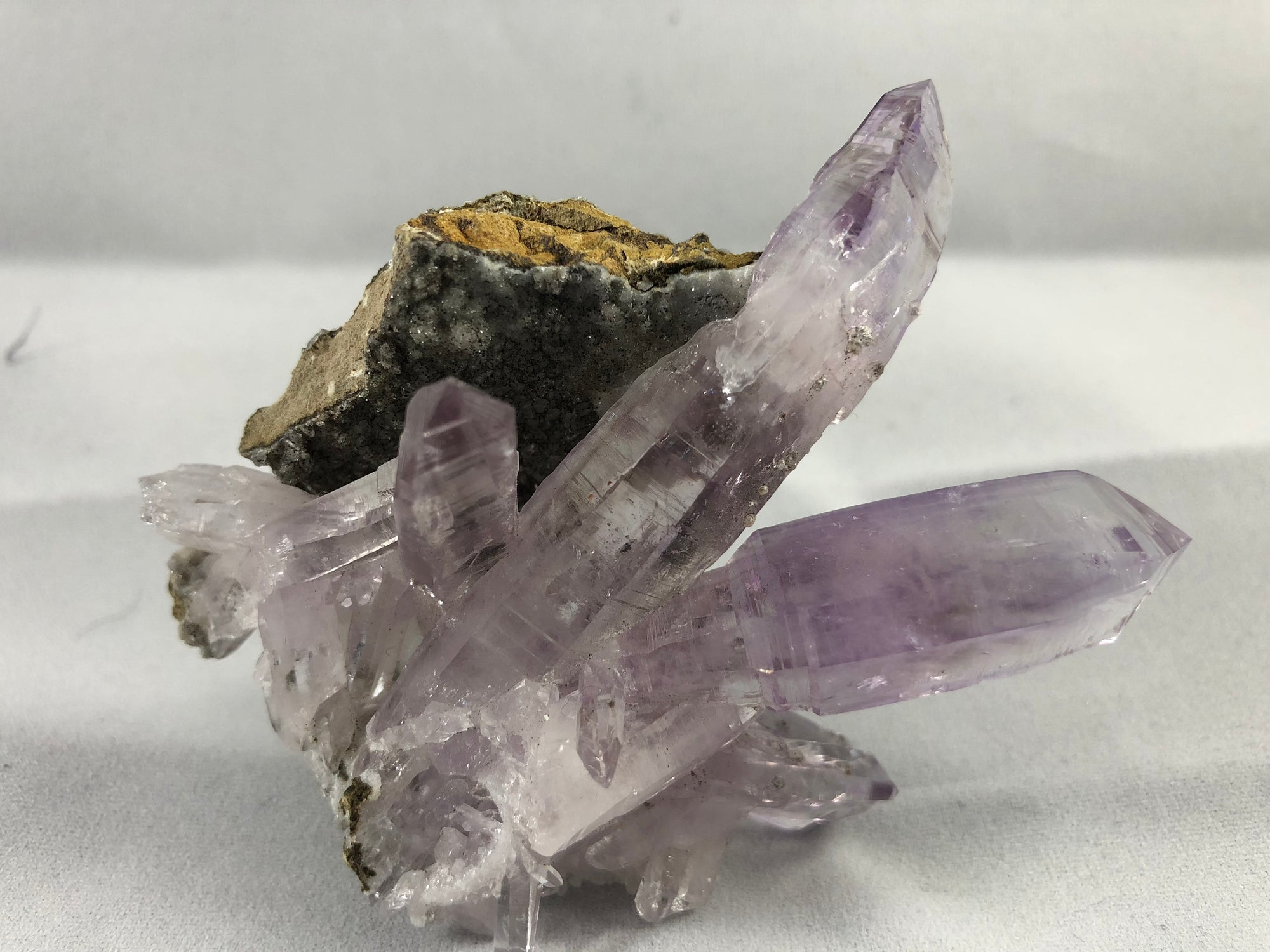 Vera Cruz Amethyst