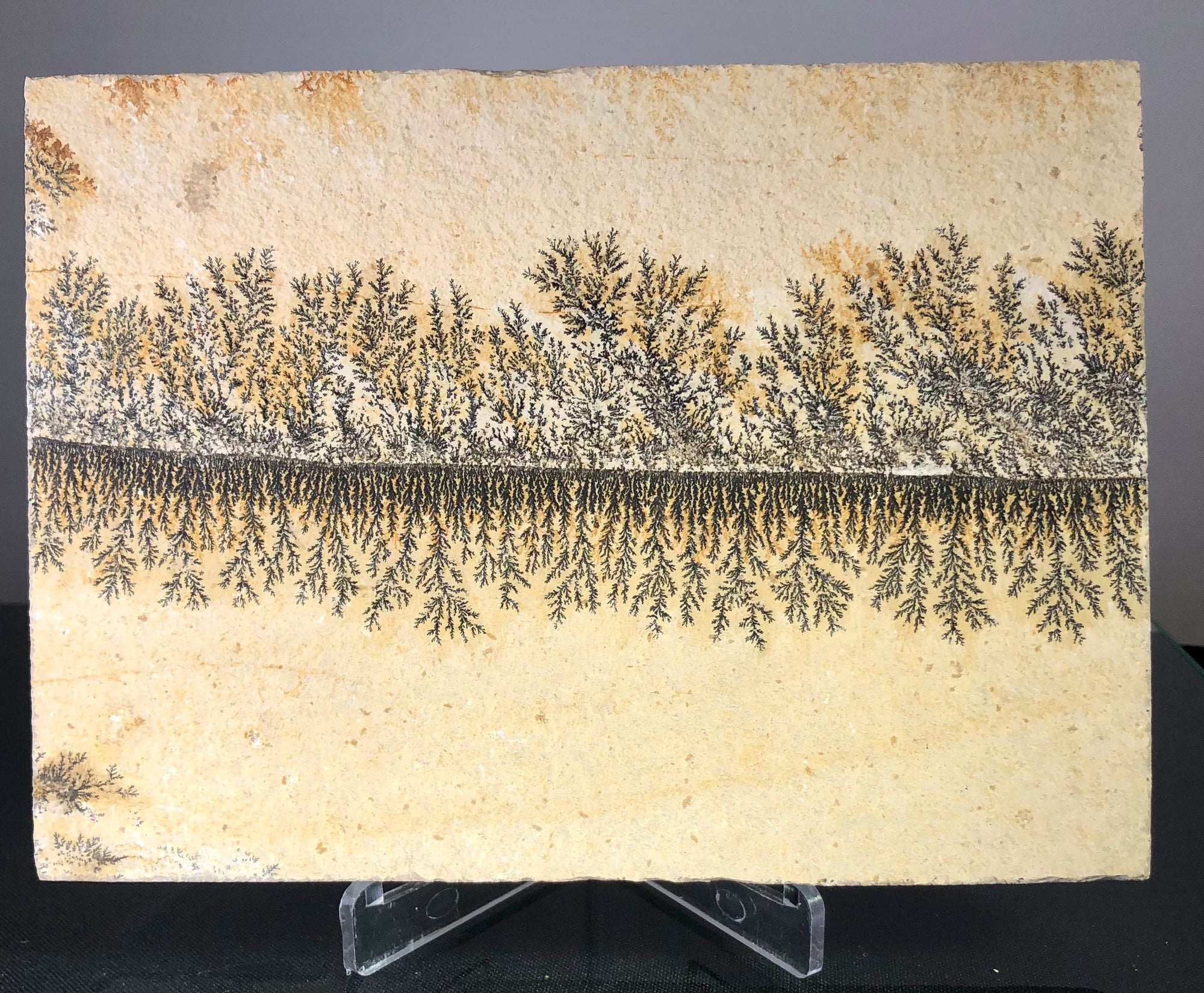 Manganese Dendrite