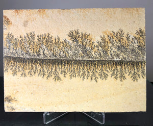 Manganese Dendrite