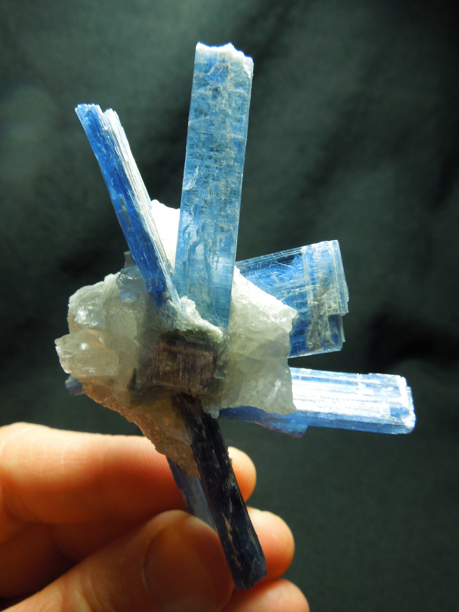 Kyanite Cluster