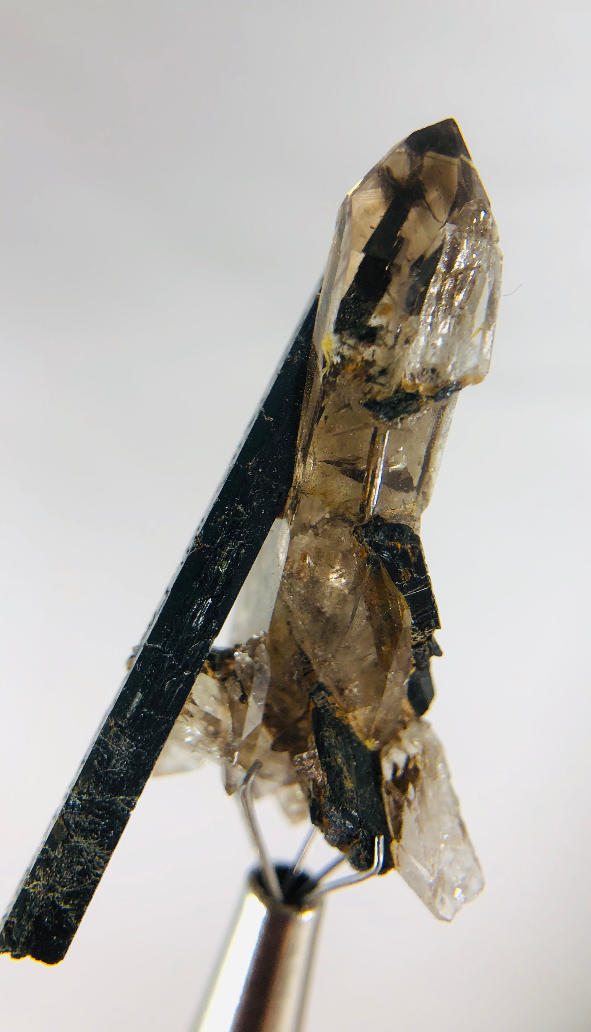 Aegirine with Smoky Quartz