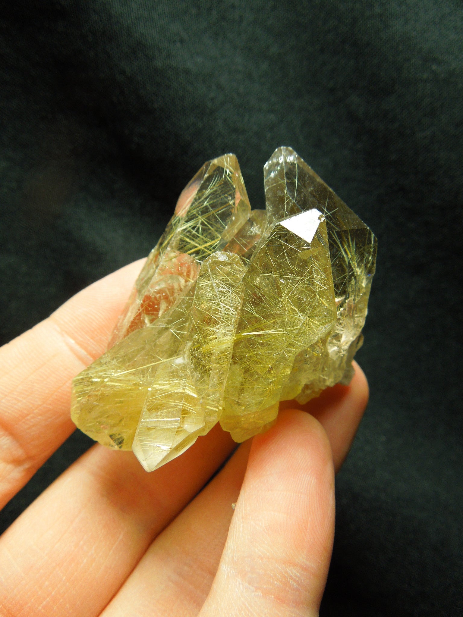 Rutilated Quartz