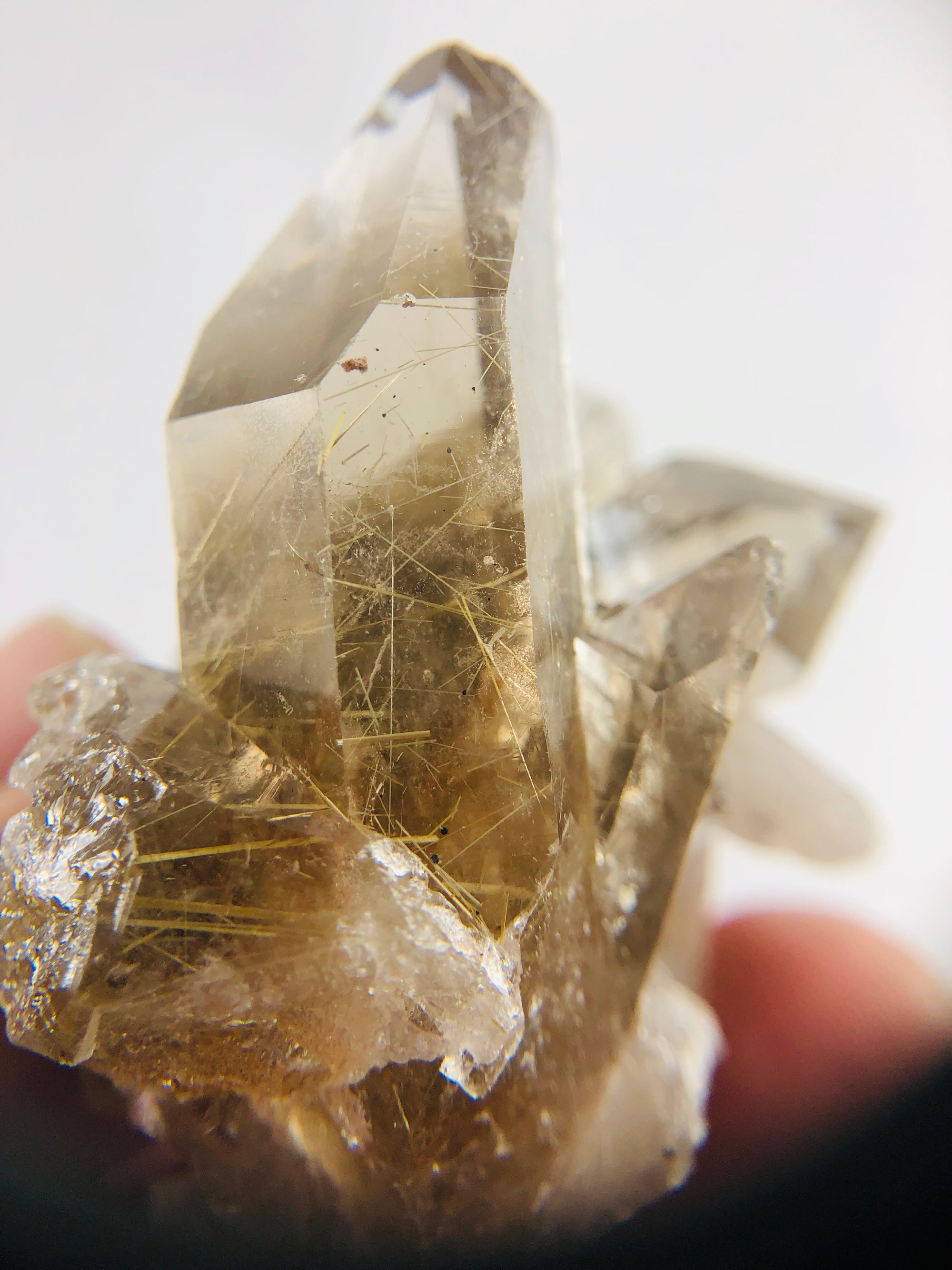 Rutilated Smoky Quartz