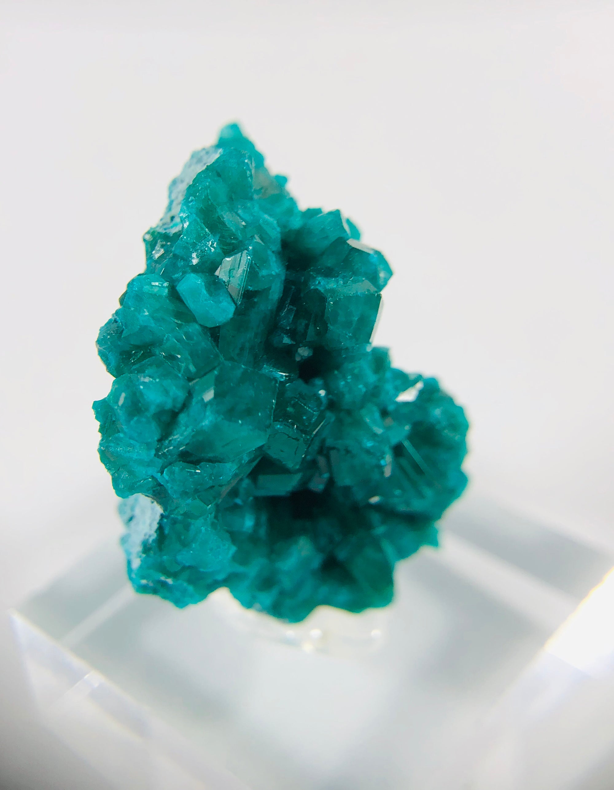 Dioptase Specimen, DRC