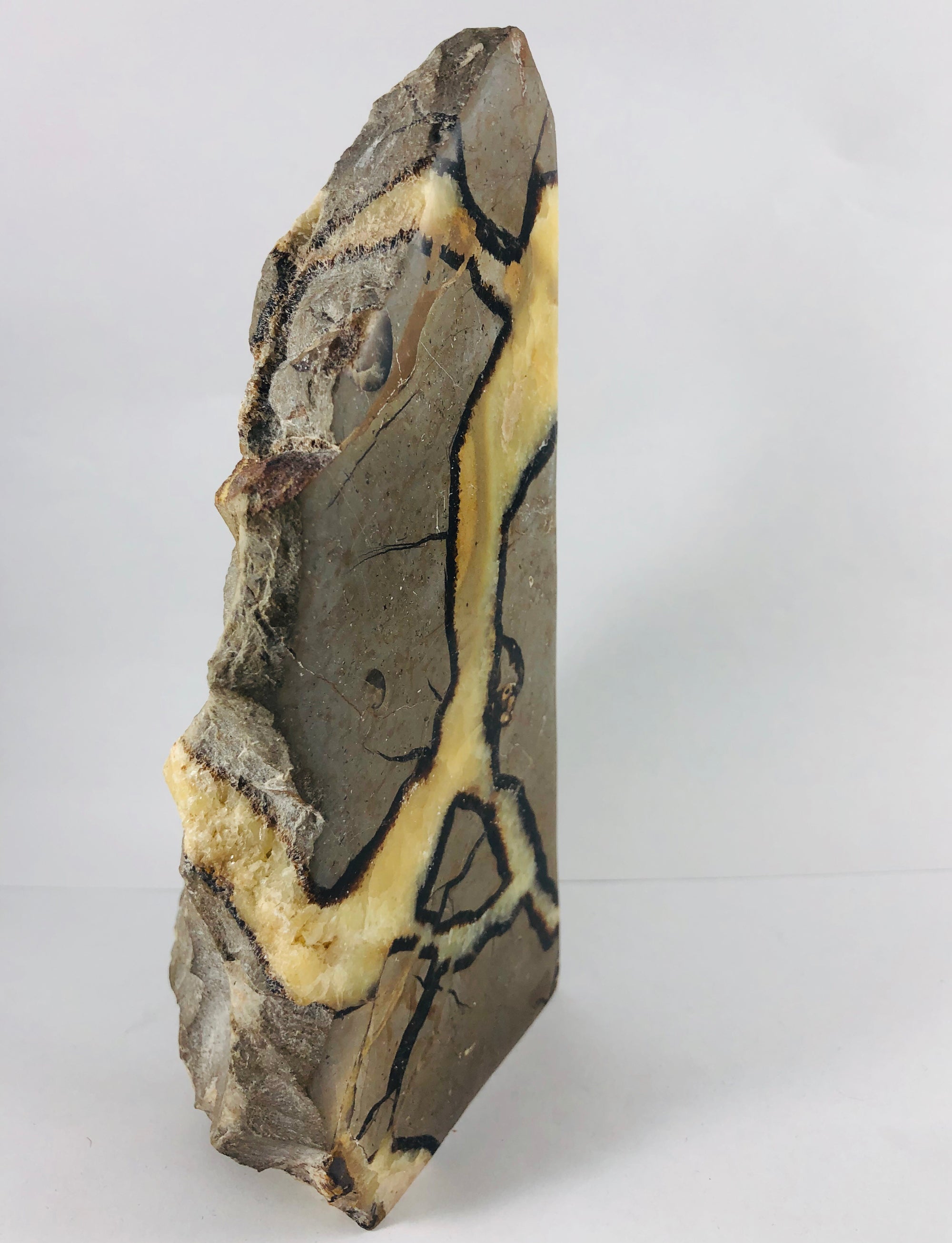 Septarian Bookends