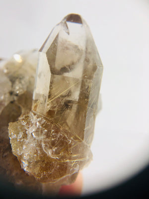 Rutilated Smoky Quartz