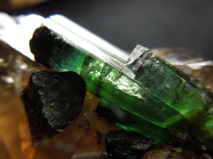 Smoky Cayhedral Quartz w/ Green Tourmaline